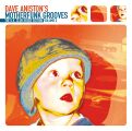 Dave Aniston's Motherfunk Groove